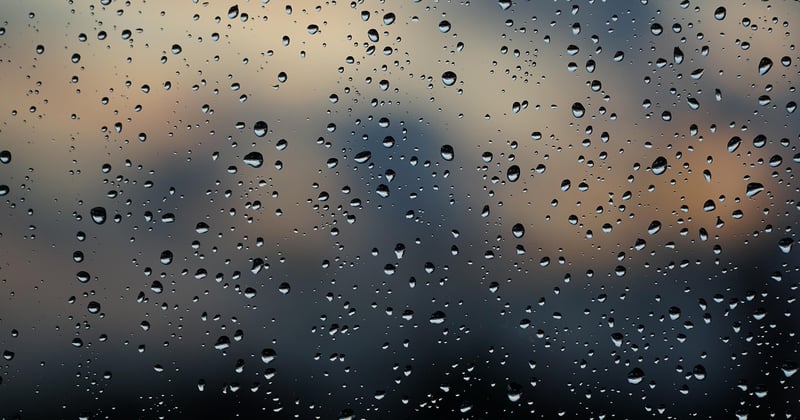 Installer un arrosage goutte-à-goutte avec un programmateur : le guide pas à pas