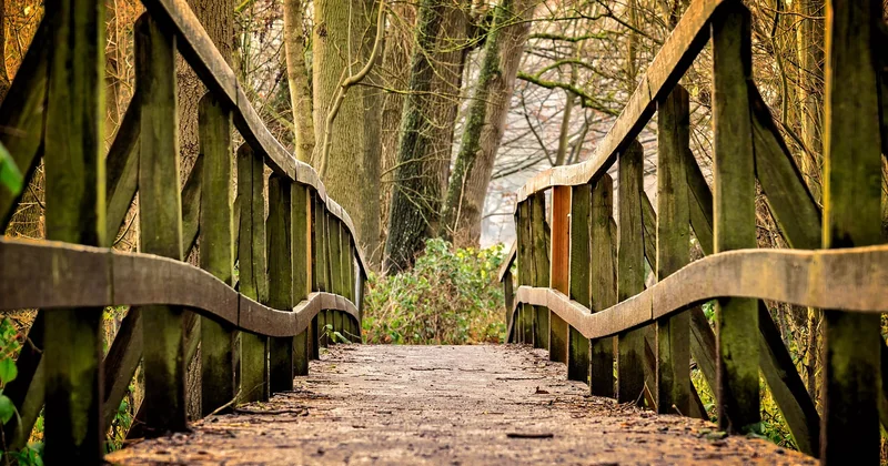 Quel système de bois choisir pour son allée