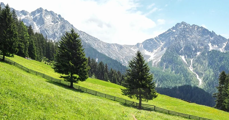 Terrain en pente : les ajustements nécessaires