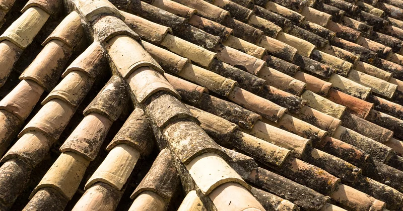 Comment nettoyer une toiture en ardoise naturelle sans la détruire