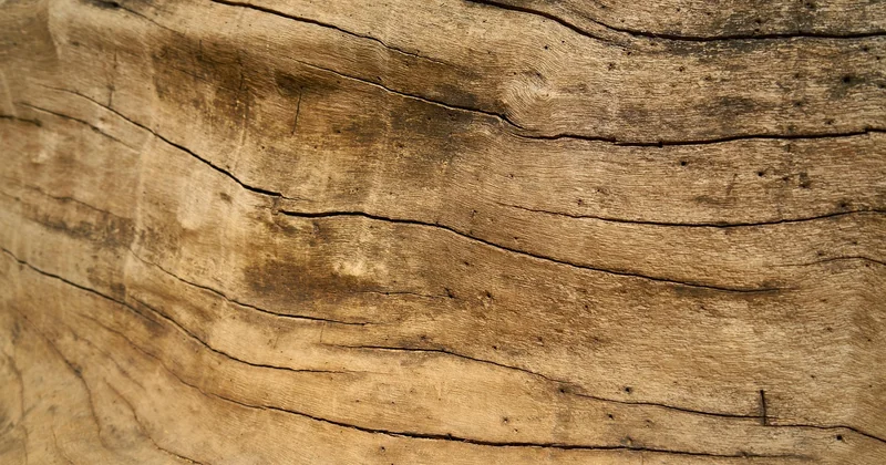 Et si on ne ponçait pas ? Les alternatives qui préservent le bois